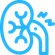 Ícone de cálculo renal